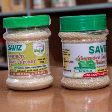 Gingembre saviz