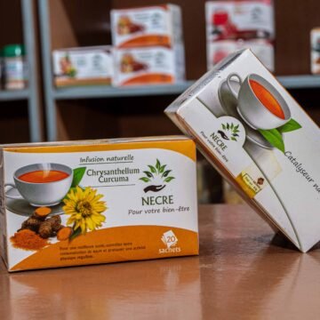 Chrysanthellum Curcuma NECRE